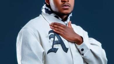 Dizmo biography
