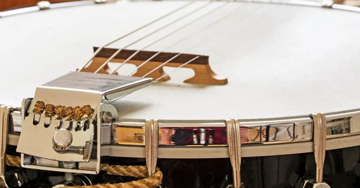 angled view of banjo body from bridge